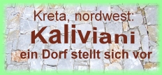 KalivianiBanner